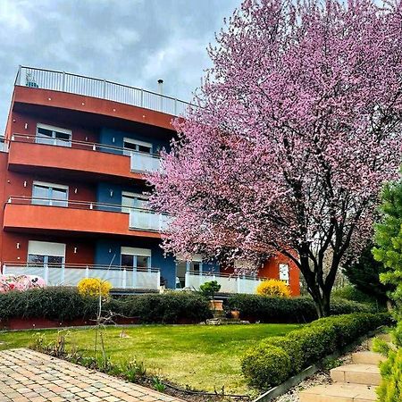 Rosehill Garden Family Villa With A Great Budapest View Exteriör bild