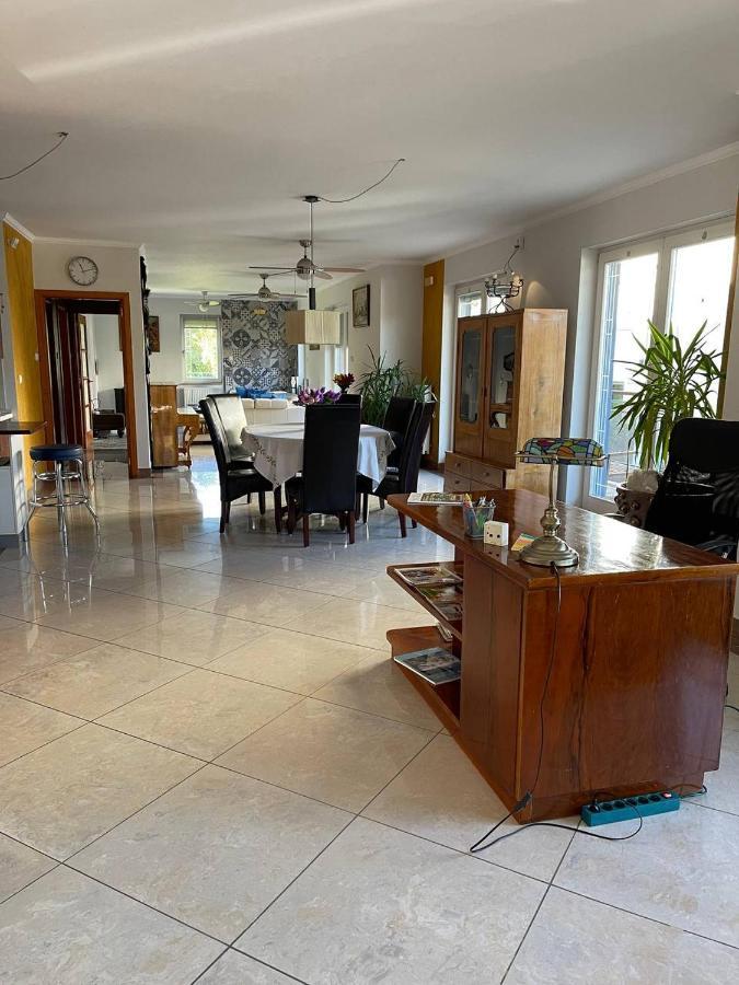 Rosehill Garden Family Villa With A Great Budapest View Exteriör bild