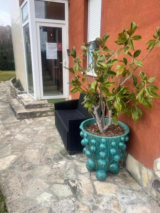 Rosehill Garden Family Villa With A Great Budapest View Exteriör bild